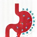 Icono de Salud Digestiva